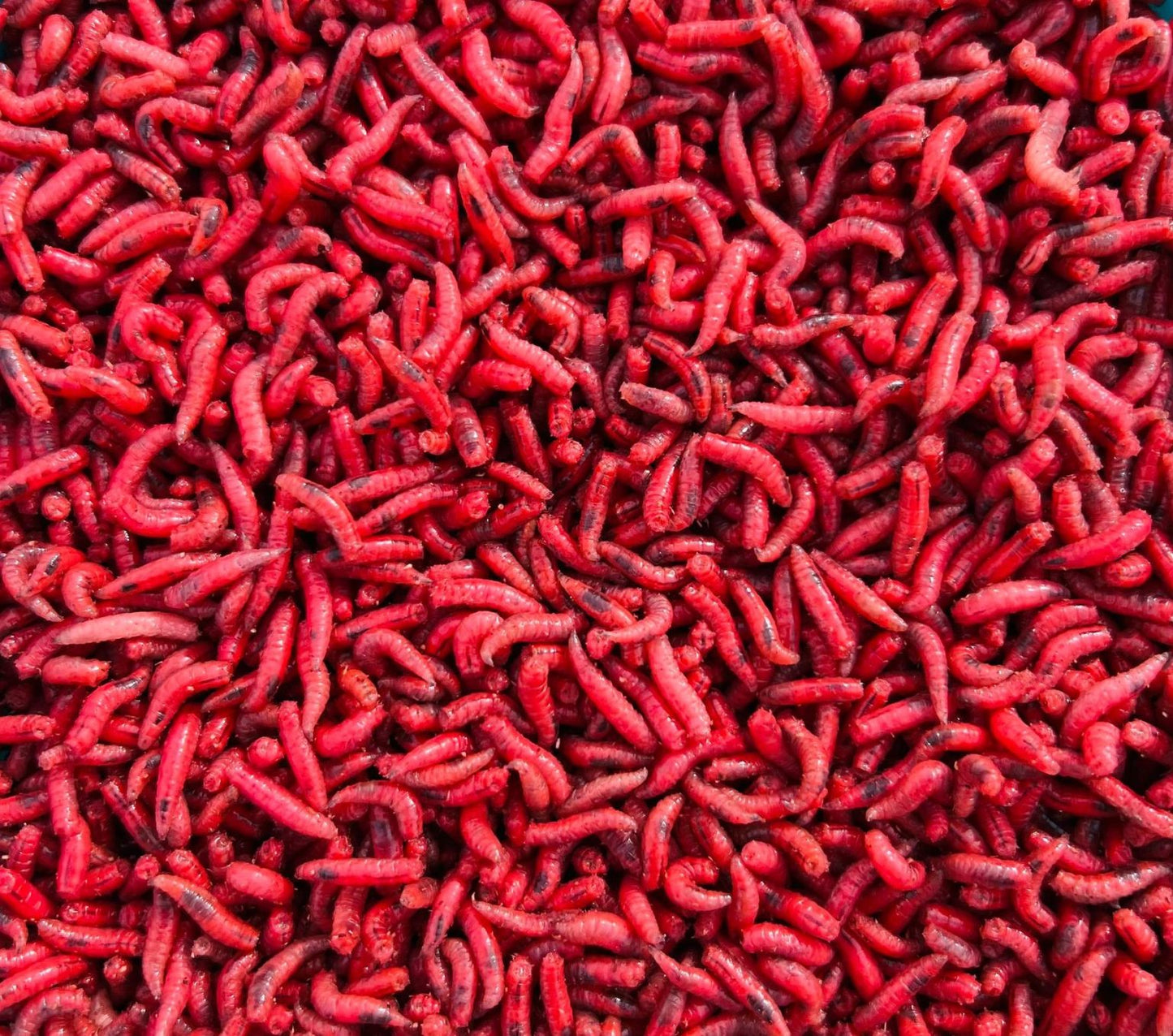 Csonti mix