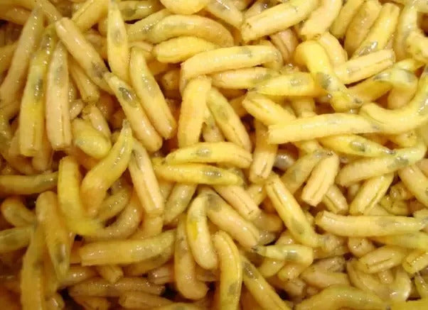 Csonti mix