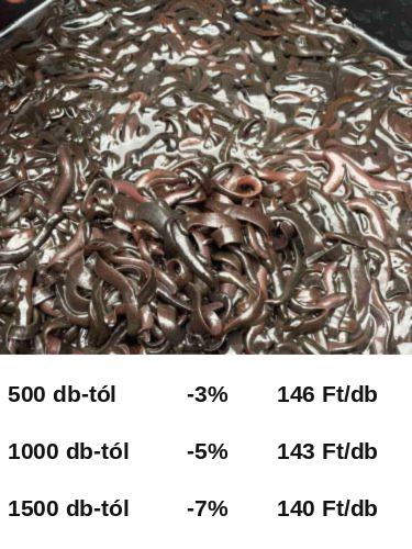 Nadály 100db