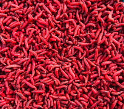 Csonti mix