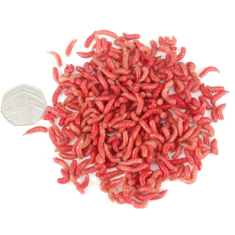 Rubin csonti